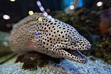 重拳出击！动视正式起诉《使命召唤》外挂开发者